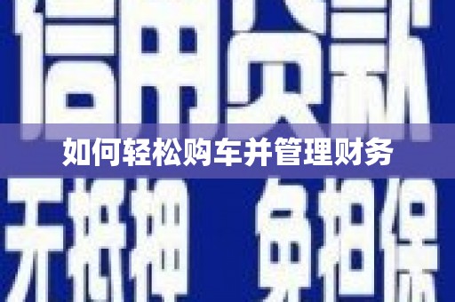 狮子如何轻松购车并管理财务