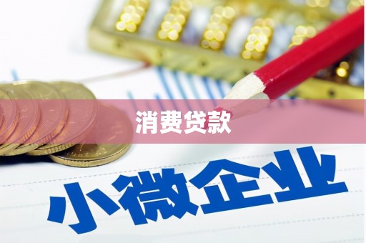 狮子消费贷款