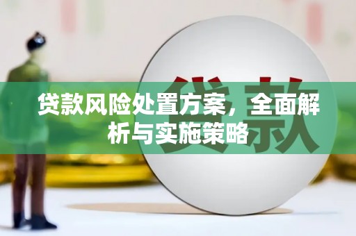 狮子贷款风险处置方案，全面解析与实施策略