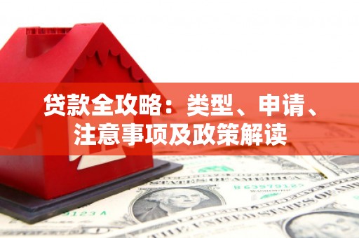 狮子贷款全攻略：类型、申请、注意事项及政策解读