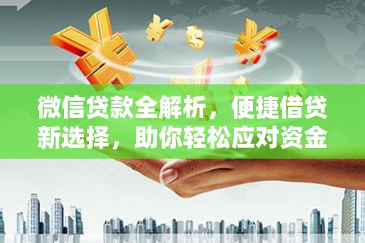 狮子微信贷款全解析，便捷借贷新选择，助你轻松应对资金需求